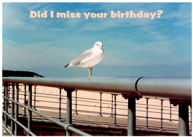 Sunken Meadow Park Bird Card