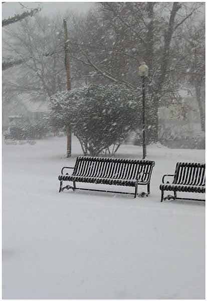 Snowy Benches Card
