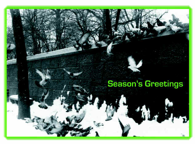 Central Park Birds Card
