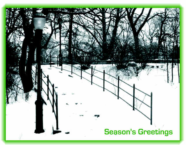 Central Park Light Card