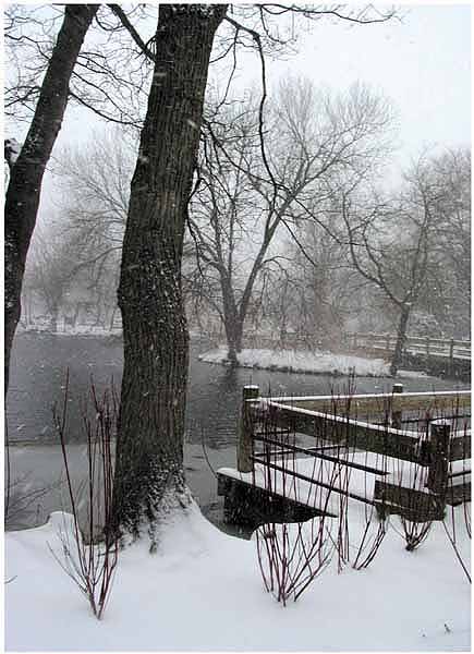 Tree Lake Balcony Card